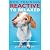 Dog Training Reactive To Re...