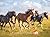 Chevaux - Agenda - Calendrier - Semainier 2027