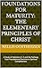 Foundations for Maturity: The Elementary Principles of Christ: A Study of Hebrews 6:1-2 and the Pathway from Foundational Doctrine to Spiritual Completeness (The Discipleship School Series Book 2)