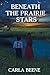 Beneath the Prairie Stars
