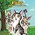 Fishy the Three-Legged Cat: Truth or Tail