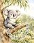 The Not So Kool Koala (See Me as I Am)