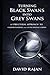 Turning Black Swans Into Grey Swans: A Structural Approach to Understanding and Anticipating Crises (Sustainxiety Institute Series on Economic Theory of Humanity)