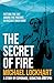 The Secret of Fire: A story...