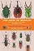 The Book of Beetles, Second...