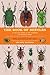 The Book of Beetles, Second Edition: A Life-Size Guide to Six Hundred of Nature’s Gems (Life-Size Guides to the Best of Nature)