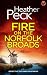 Fire on the Norfolk Broads by Heather Peck Fire on the Norfolk Broads by Heather Peck