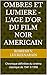 OMBRES ET LUMIERE - L'AGE D'OR DU FILM NOIR AMERICAIN: Chronique définitive du cinéma noir classique de 1941 à 1958 (French Edition)