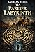 Das Pariser Labyrinth: Die Elijah Blackwood Reihe (Die Elijah Blackwood Triologie) (German Edition)