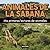 Animales de la sabana: Mis primeras lecturas de animales (Spanish Edition)