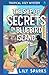 The Ship of Secrets On Bluebird Island: Tropical Cozy Mystery (A Chloe Scott Tropical Cozy Mystery)