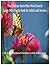 The Ultimate Butterflies Word Search: Large Print Puzzle Book for Adults and Seniors with 54 Fun Themed Puzzles and Solutions