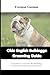 OLDE ENGLISH BULLDOGGE GROOMING GUIDE: Are You Ready to Care Like a Pro? Simple Steps for Healthy Skin and Fast Results