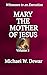 MARY THE MOTHER OF JESUS (Witnesses to an Execution Book 5)