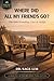 WHERE DID ALL MY FRIENDS GO?: The Male Friendship Crisis at Midlife (Healthy After 50)