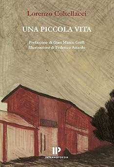 Una piccola vita