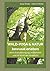WALD-YOGA & NATUR bewusst erleben: durch Entschleunigung, Achtsamkeit und die Kunst des Verweilens (German Edition)