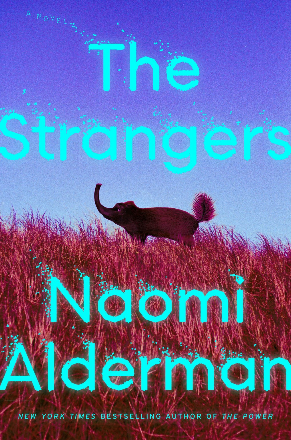 The Strangers (Hardcover)