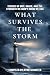 What Survives the Storm: St...