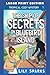 The Ship of Secrets On Bluebird Island: LARGE PRINT EDITION (A Chloe Scott Tropical Cozy Mystery LARGE PRINT)