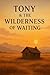 Tony & The Wilderness (The Life of Tony Book 2)