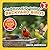 The Nature Kid's Guide to Backyard Birds: A Level 2 Reader for Curious Young Kids Who Love Bird Watching! (The Nature Kid's Guide to Animals! - Level 2 Readers)