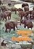 Among the Elephants