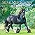 Magnificent Horses | 2027 12 x 24 Inch (Hanging) Monthly Square Wall Calendar | Foil Stamped Cover | Plato | Animals Horses Equestrian