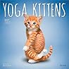 Yoga Kittens OFFICIAL | 2027 12 x 24 Inch (Hanging) Monthly Square Wall Calendar | Plato | Animals Humor Cats Feline