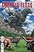 Godzilla Vs. America: Texas