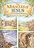 The Miracles of Jesus: Illustrated Storybook