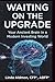 Waiting on the Upgrade: Your Ancient Brain in a Modern Investing World