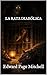 LA RATA DIABÓLICA (Spanish Edition)