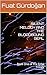 SILENT MELODY AND THE BLOODBOUND SEAL: Book One of The Echo Trilogy