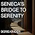 Seneca’s Bridge to Serenity: Philosophical Questions