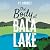 The Body at Bala Lake: The Nesta Griffiths Mysteries, Book 1