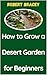 How to Grow a Desert Garden for Beginners