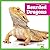 Bearded Dragons (Hello, Reptiles!)