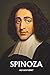 SPINOZA AUF DEN PUNKT: Das Wesentliche seiner Philosophie (German Edition)