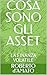 COSA SONO GLI ASSET: LA FINANZA VOLATILE (PRINCIPE d'AMATO Vol. 62) (Italian Edition)