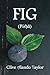 FIG: (Pir)