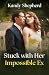 Stuck with Her Impossible Ex by Kandy Shepherd Stuck with Her Impossible Ex by Kandy Shepherd