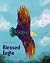 Blessed Eagle