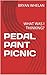 PEDAL PANT PICNIC: WHAT WAS I THINKING?