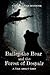 Bailey the Bear and the Forest of Despair by Christina van Deventer Bailey the Bear and the Forest of Despair by Christina van Deventer