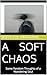 A SOFT CHAOS: Some Random Thoughts of a Wandering Soul