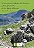 El territorio subbético de Arenas -Jaén Granada- en su época islámica (Spanish Edition)