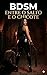 ENTRE O SALTO E O CHICOTE : BDSM (FETICHES) (Portuguese Edition)