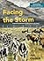 Facing the Storm: A powerful combination of biblical studies and artistry