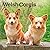 Welsh Corgis | 2027 7 x 14 Inch (Hanging) Monthly Mini Wall Calendar | BrownTrout | Animals Dog Breeds